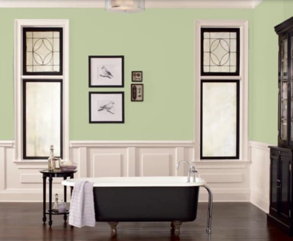 Fleetwood Popular Colours  Limesickle