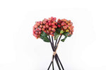 Rustic Berry Bunch Orange