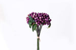 Rustic Berry Bunch Cranberry