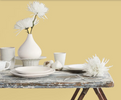 Fleetwood Prestige Pantone  Pale Banana 120824
