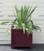 Cuprinol Garden Shades  Summer Damson
