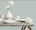 Fleetwood Prestige Pantone  Sprout Green 125303 NEW