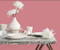 Fleetwood Prestige Pantone  Strawberry Ice 161720