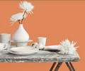Fleetwood Prestige Pantone  Tangerine 151247